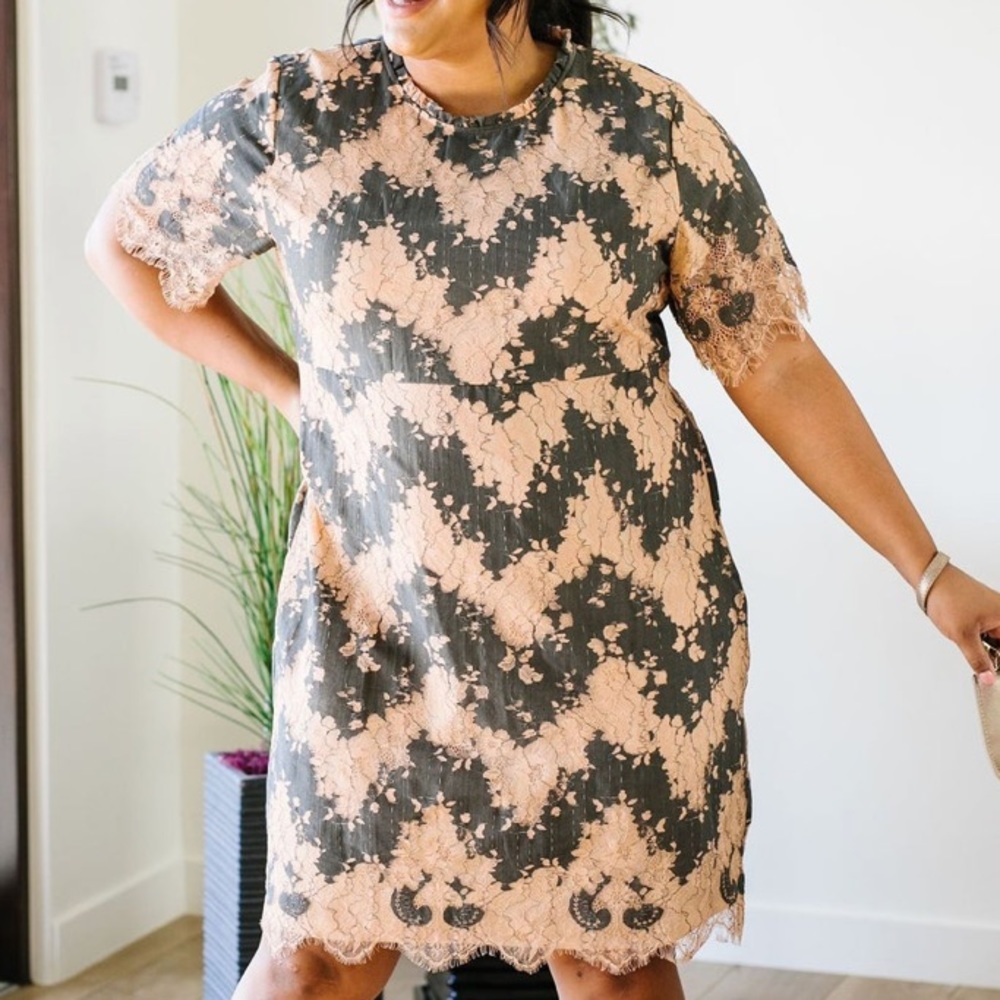 Polagram Lace Chevron Dress Short Sleeve Scalloped